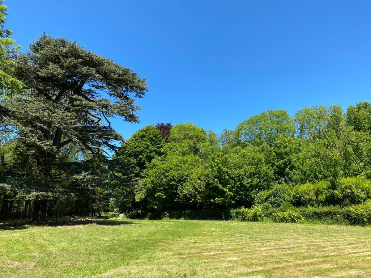 Les gîtes du château du cèdre Manneville-ès-Plains Esterno foto