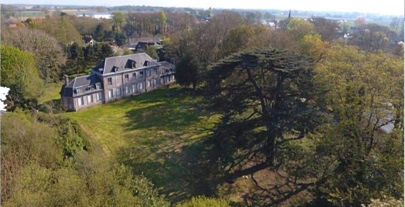 Les gîtes du château du cèdre Manneville-ès-Plains Esterno foto