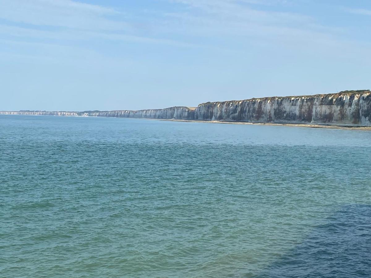 Les gîtes du château du cèdre Manneville-ès-Plains Esterno foto